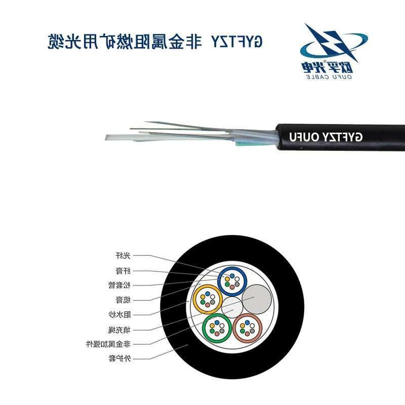 嘉模堂区GYFTZY光缆