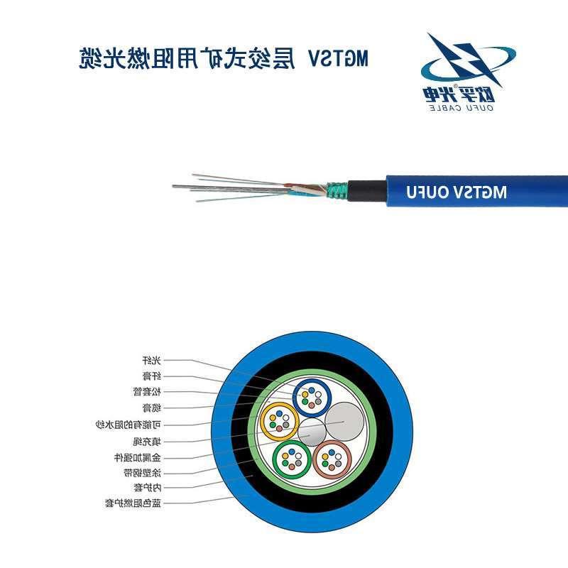 嘉模堂区MGTSV光缆