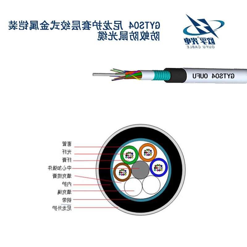 吉林GYTS04光缆